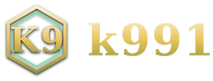 k991 logo